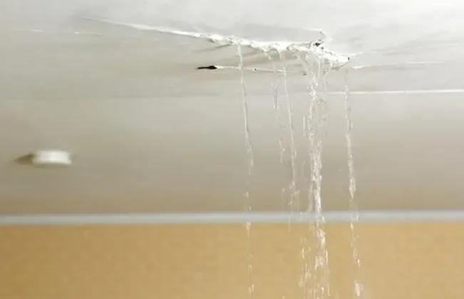 Water running from a cracked ceiling into the room below